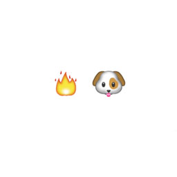 Hotdog 