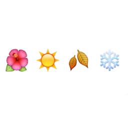 Four Seasons 