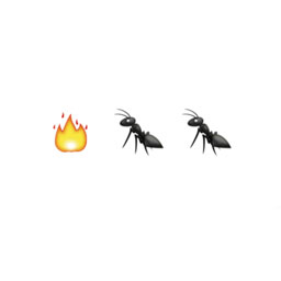 Fire Ants 