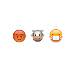 Mad Cow Disease 